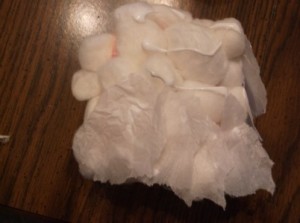 hootie owls-glue tissue over cotton balls
